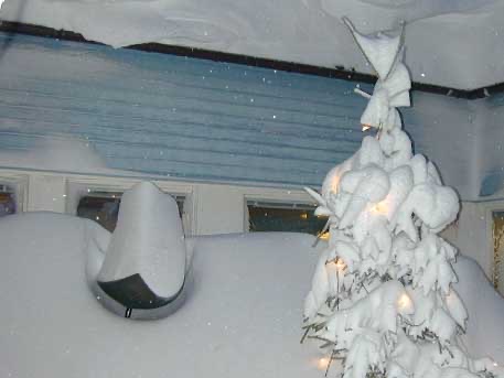 a view from said basement